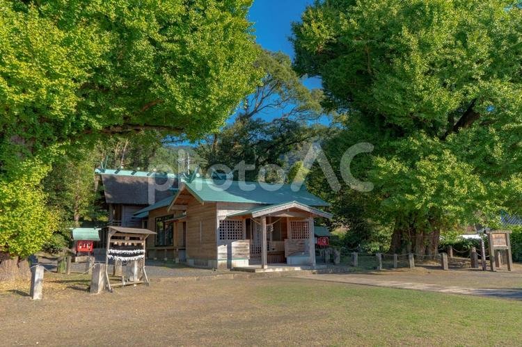 ⛩️ 미야노우라 신사 (미야노우라구)